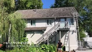 WI Cedar Roof Cleaning