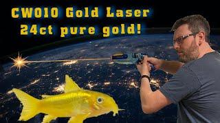 CW010 Gold lasers Corydoras