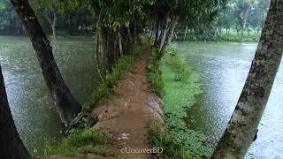 Rainy Day in a Countryside Village | Walking in the Rain | Bangladesh