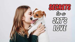 What Makes a Jack Russell FALL IN LOVE with You