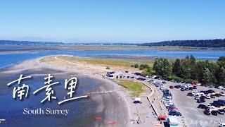 温哥华｜南素里 South Surrey～一座被低估的宝藏之城