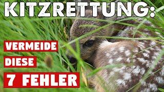 Rehkitzrettung mit der Wärmebilddrohne: Vermeide diese 7 Fehler für eine erfolgreiche #Kitzrettung