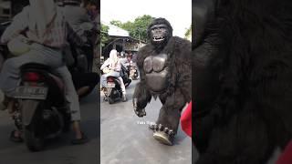 Kingkong Menyeramkan 