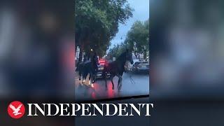 Household Cavalry horses escape and weave through London traffic during rush hour