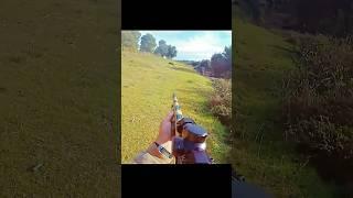 великолепный снимок дикого кабана, лучшая охота#hunting #chasse#chasseur#chasse#wildboar