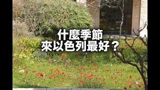 來以色列最好的季節？【以色列自助Q&A】