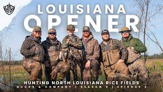 DUCK HUNTING the Louisiana Rice fields! // 5 man limit // Opening Day 2024