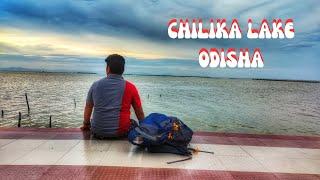 Chilika Lake: A Hidden Paradise of Biodiversity and Birds