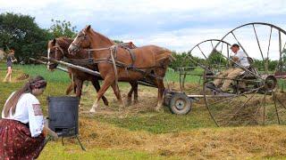 Summer hay harvesting with unique metal wagon. Cooking Delicious Dumplings on steam