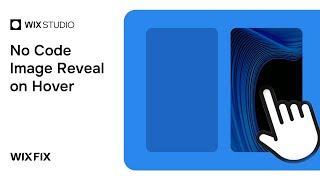 No Code Image Hover Reveal in Wix Studio | Wix Fix