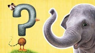 What Is It? | ANIMAL GUESSING GAME | Mother Goose Club Back to School