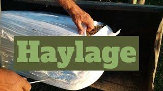 Wet Small Square Bales? Try wrapping them for haylage!