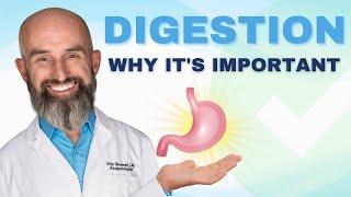 Why Your Digestion Is SUPER Important (Being Better Episode 19)