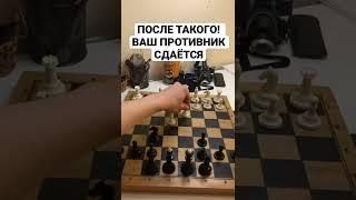 Шахматы, гамбит стеффорда, классная ловушка. #шахматы