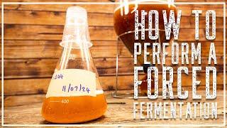 HOW & WHY TO DO A FORCED FERMENTATION | THE MALT MILLER HOME BREWING CHANNEL