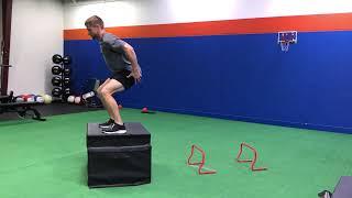 Double Hurdle Jump to Box