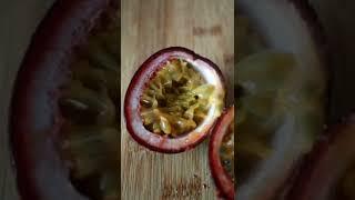 How does a passion fruit look like inside #shorts