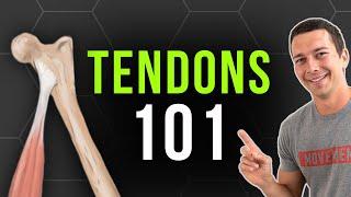 Build Tendon Strength in 5 Minutes (Research Based)
