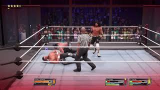 BULLET CLUB ELIMINATION CHAMBER 2