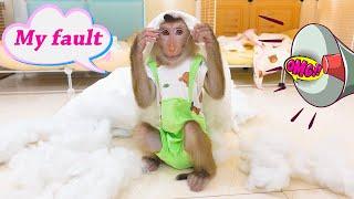 Funny, Monkey PUPU tries to hide from his Mom because he brings out a cotton bag to play.