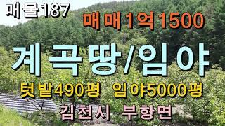 (매매완료)계곡땅 임야/김천시 부항면 계곡땅/집터/텃밭500평,임야5000평,매매1억1500만원/자연인,귀농귀촌 최적의 토지 및 임야