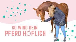  HÖFLICHKEITSTRAINING mit deinem Pferd | so trainierst du erfolgreich mit Futter 