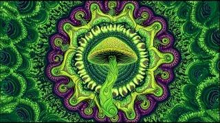 Psy Dub Mix | Magic Mushroom Vision | Psychedelic Animation & Trippy Visuals