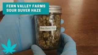 Sour Suver Haze CBD Hemp Smalls Review (Fern Valley Farms)