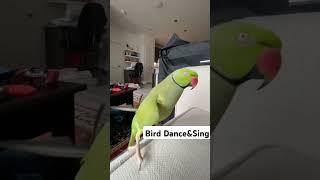 Dance and Singing