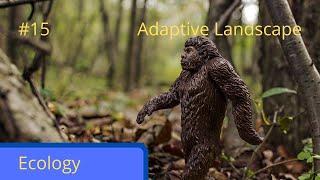 Biopedia episode 15- The Adaptive Landscape