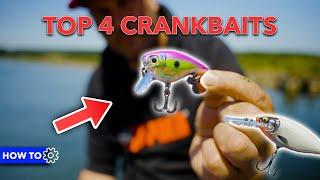 VIS in elke WATERLAAG met deze HARDBAITS!