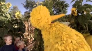 Sesame Street: Big Bird Visits A Farm