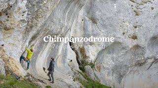 Cedric Lachat climbing on the history of French mountaineering - Chimpanzodrome (7c+, Saussois)