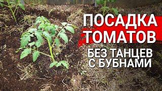 Посадка томатов без танцев с бубнами | Как быстро посадить томаты