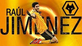 Raul Jiménez Most Underrated Striker(Wolves 2018-2019)