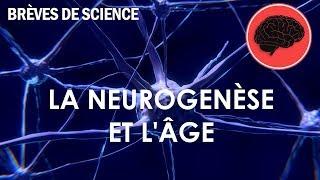 [Brèves de Science] La neurogenèse et l'âge - Science et Vie TV