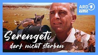 Serengeti darf nicht sterben (Trailer) | ARD Plus