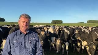 WestVic Dairy Chair, Brendan Rea discusses the support available during these dry conditions.