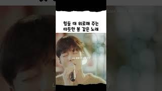 1시간 동안 들어도 편안한 목소리 #로이킴