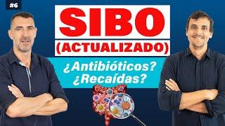  SIBO 2024  TRATAMIENTO para NO RECAER