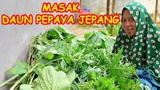 masak kukus daun pepaya jepang, masakan kampung sederhana l hidup di desa l vlog mbak retno