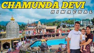 423/ Chamunda devi temple Himachal Pradesh  full travel guide @Himachali.Traveller