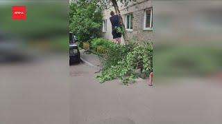 Мужчина решил самостоятельно спилить дерево во дворе дома