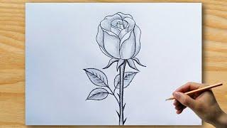 How To Draw Rose  Easy Rose Drawing.