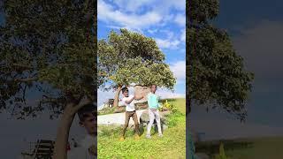 Asai noorachu ponga shortsakhil nainu vlog#shortsfeed