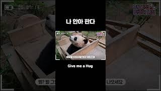 할부지 루이 안아
