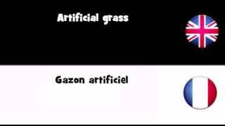 APPRENDRE L'ANGLAIS = Gazon artificiel