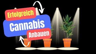 Indoor Cannabis Anbau: 10 TIPPS für ein SUPER Ergebnis! l Legalisierung Eigenanbau