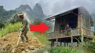 FULL VIDEO: 20 days of building a bamboo house, starting a farm near a big lake