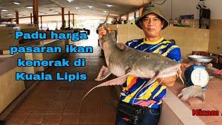 PADU HARGA PASARAN IKAN KENERAK DI KUALA LIPIS PAHANG